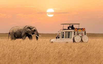 Africa Cruises
