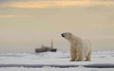Arctic Cruises, Cruises to the Arctic