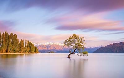 Australasia Cruises