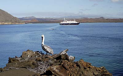 Galapagos Cruises, Cruises to the Galapagos