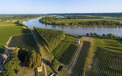 Gironde River Cruises