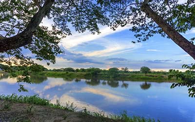 Magalena River Cruises