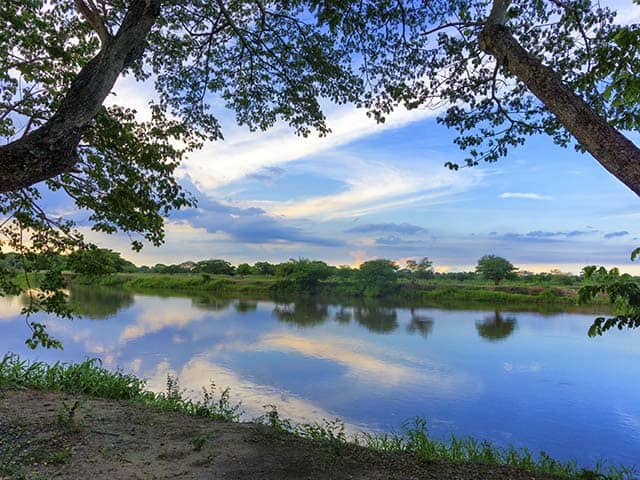 Magalena River Cruises