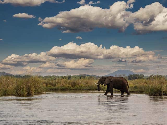 Zambezi River Cruises