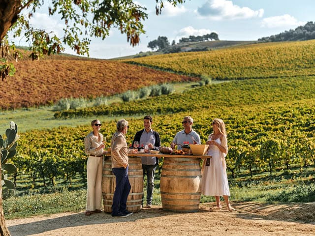 Adults Only Cruises. No Kids