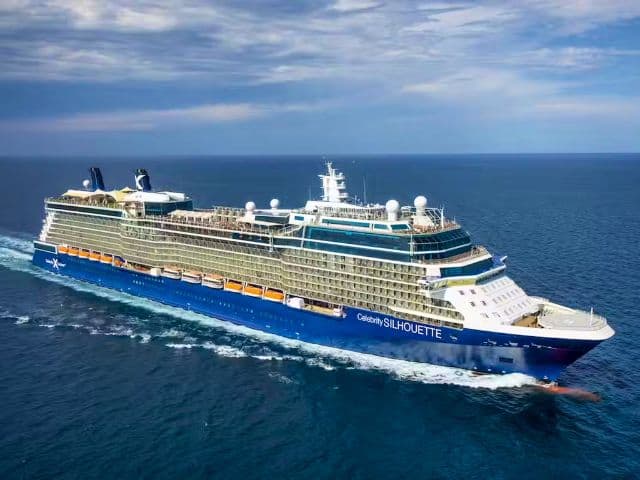 Celebrity Silhouette